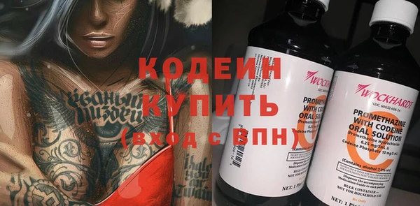 СК Пересвет